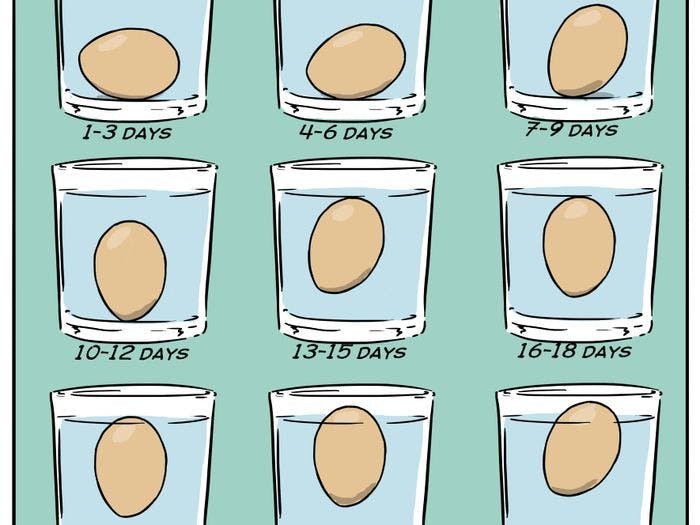 Submerge Eggs in Water to Test Their Freshness