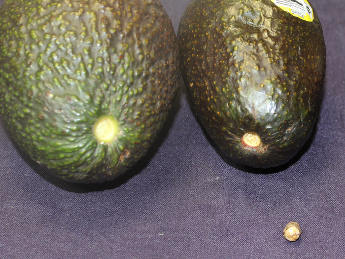 To determine if an avocado is ripe, pull the stem off and look under it.