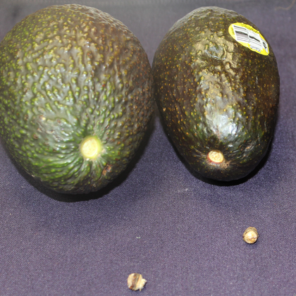 To determine if an avocado is ripe, pull the stem off and look under it.