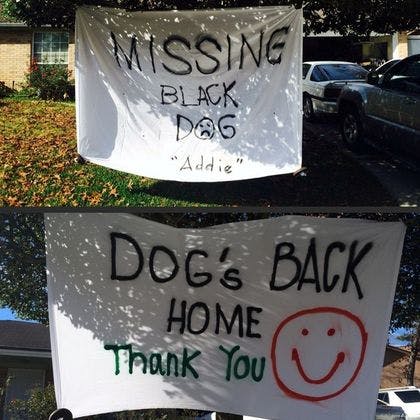Lost your pet? Hang a huge sign in your front yard.