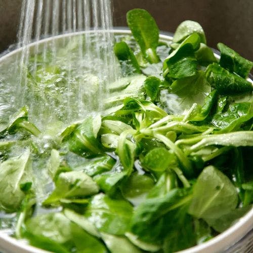 To revitalize old lettuce, submerge it in a large bowl of water and put it in the fridge. 