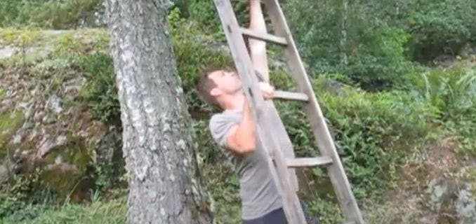 Use a ladder for pull-ups.