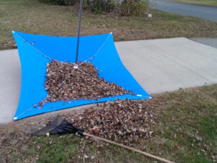 Instead of a tarp, use a lawn or sport umbrella to collect and distribute leaves