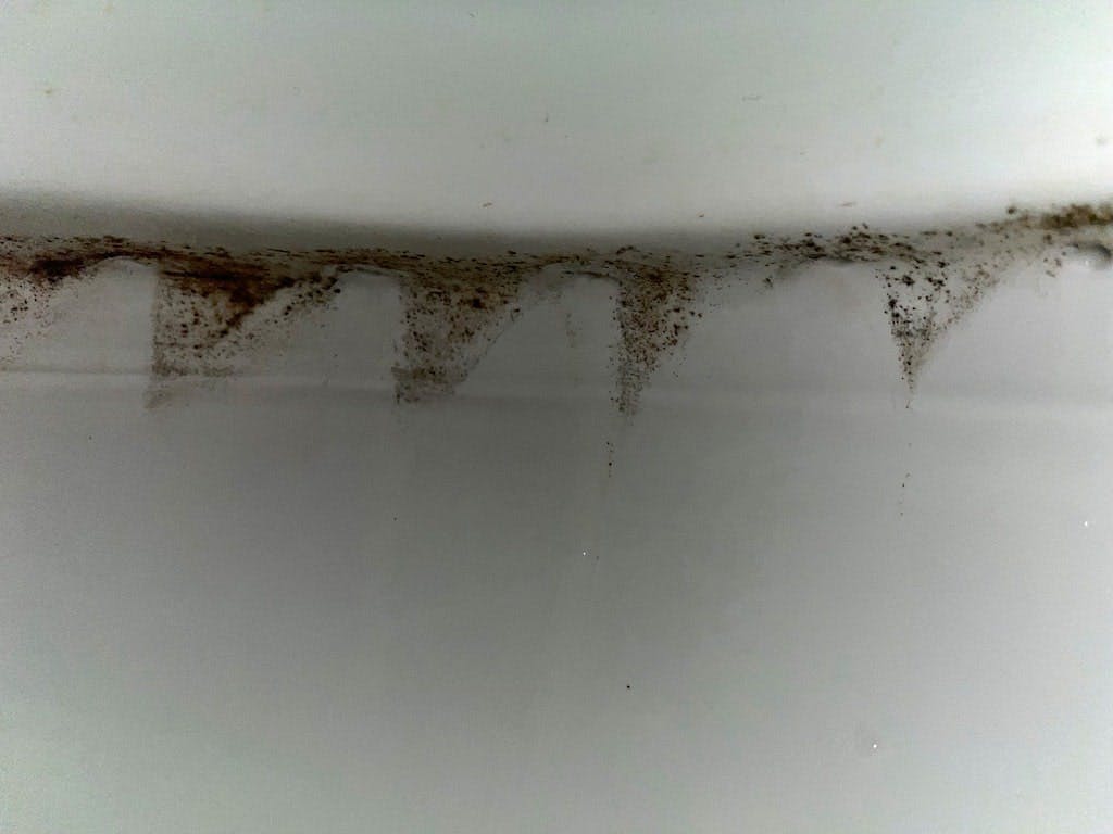 Mildew built up from a bathroom in a humid area
