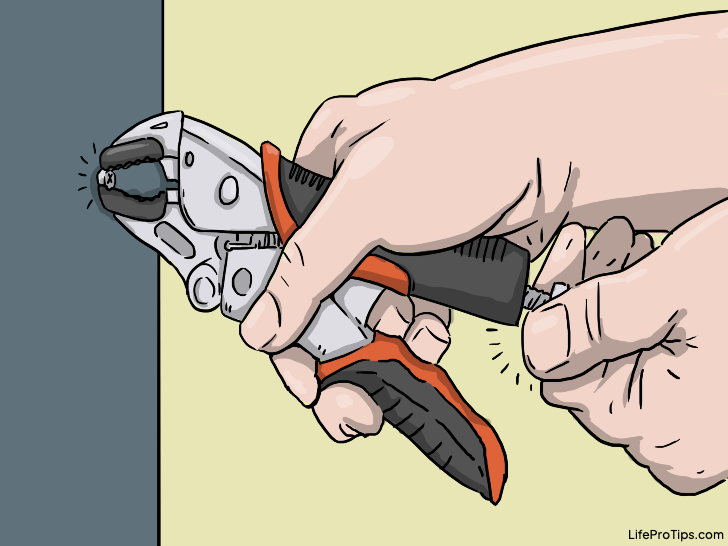 Get a grip on stripped screws with pliers or locking jaws.