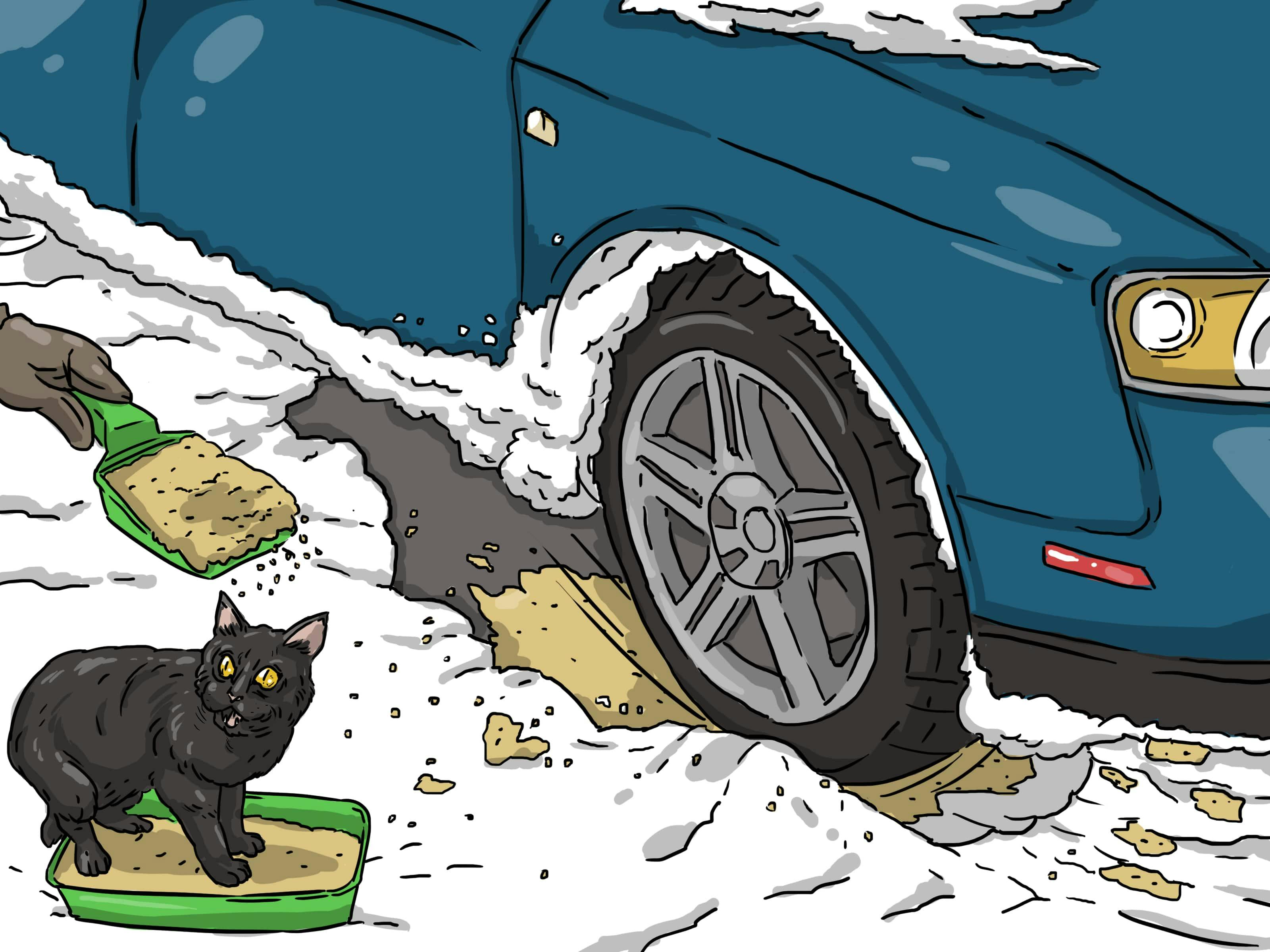 Kitty Litter can come in hand in a pinch if your wheels get stuck in the snow.